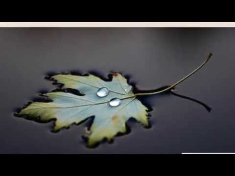 image-What is the relationship between surface tension and viscosity?