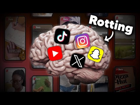 The Brain Rot Epidemic