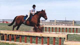 In Memory of my first horse - Jessica