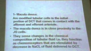 Dr  Mona Aziz kidney 2 " Juxta glomerular apparatus - Renal blood flow "