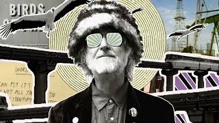 The Minus 5 - "Words &amp; Birds" (Official Video)