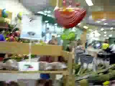 Publix 1667