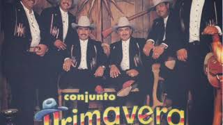 Lo Vas A Pagar También Lyrics English Translation