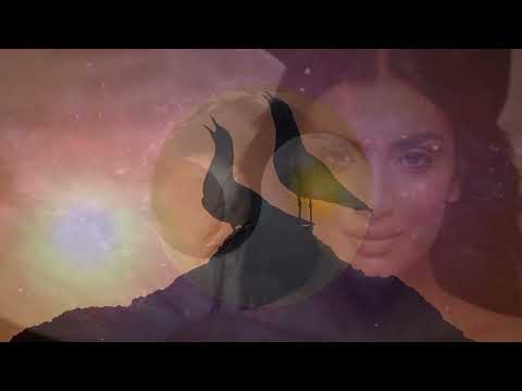 Jiří Mičola - JIŘÍ MIČOLA - Kde hnízdí ryby - text Zdenek Pavlíček