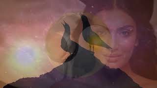 Video JIŘÍ MIČOLA - Kde hnízdí ryby - text Zdenek Pavlíček