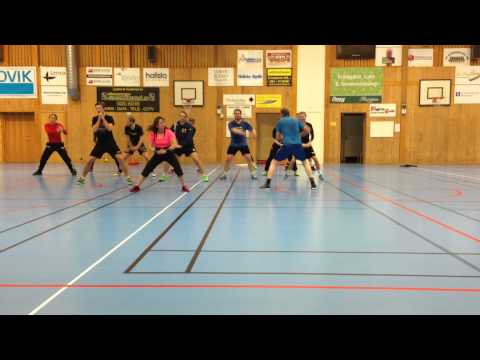 Hallstahammars SK Handbolls Väg Mot Division 1
