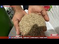 NITHYA TRADERS TRICHY DHALL MANUFACTURER AND WHOLESALE SUPPLIER OF GROCERIES