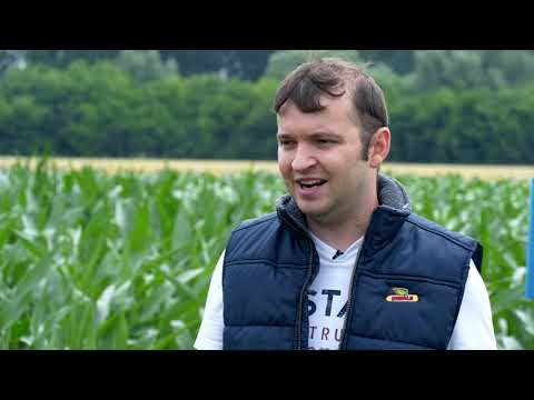 DEKALB Hibridi kukuruza - iskustva proizvođača - Ivan Kokić, Tomislav Miloš i Tomislav Ferinac