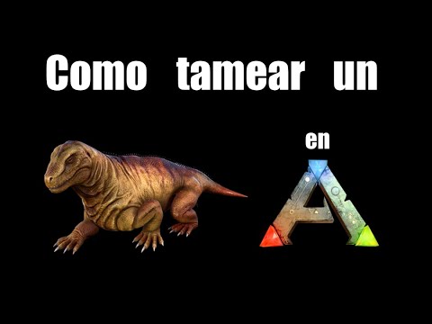 Como tamear/domar un Moschops en Ark Survival Evolved///Peter Alfario