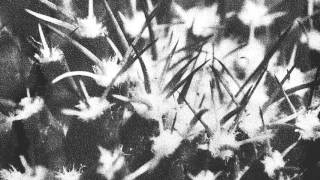 ANDREA BELFI — Cera Persa 1 (LATENCY 08)