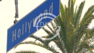 Hollywood Palm Tree Low Angle Footage Sky Road Signal Sign Mountain California Famous USA Los