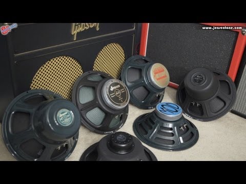 Jensen Speaker Shootout -DIRTY-: Blackbird, Tornado, P12N, C12N, Falcon, MOD 12-70 by Scott Sill