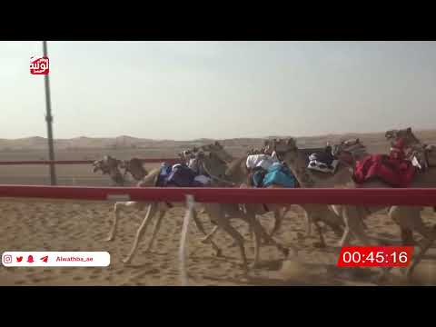  ش 24 (شاهين) لـ سالم حمد بالاسود العامري 2:10 , شارة الصندوق 2026/04/25 فطامين الروضة