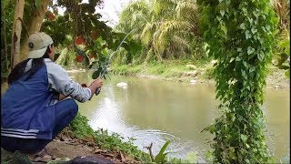 preview picture of video 'Strike Bertubi Tubi Di Sungai Ini.....'