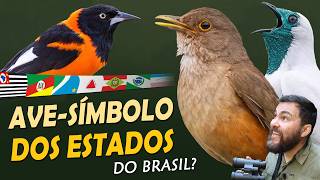 Miniatura do vídeo