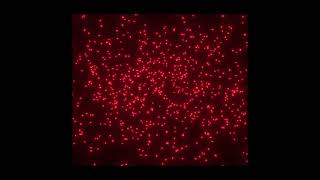 KING CURTIS (1962) Country Soul | Funk / Soul | Rhythm &amp; Blues | Full Album