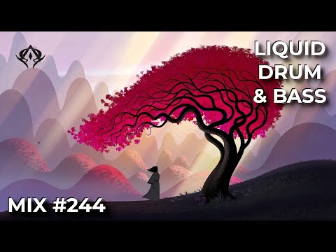 Liquid Drum and Bass Mix 244
