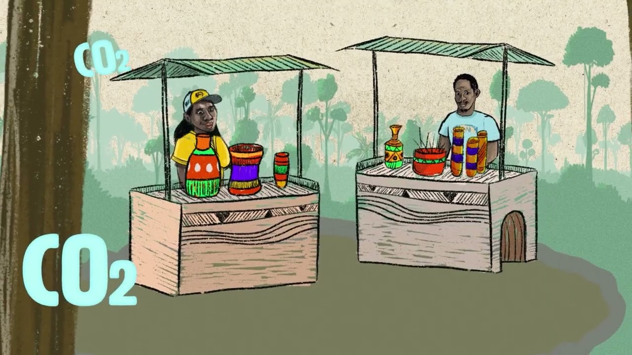 Economia da Sociobiodiversidade e Novas Tecnologias | Amazônia Sustentável e Produtiva