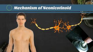 &quot;A Warning Message: Making Pollination Great Again&quot; by Yoshihiro KAJIWARA