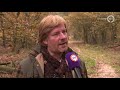 Op deze plekken in Gelderland worden straks wasberen geschoten