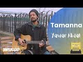 TAMANNA Unplugged | Yawar Abdal | Song | THEPLATFORMM | Acoustic Version | Kashmir | Outdoor Singing