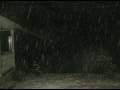 Wild Light, Snowfall Heart Attack 