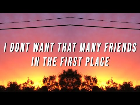 p4rkr - i dont want that many friends in the first place (Lyrics)