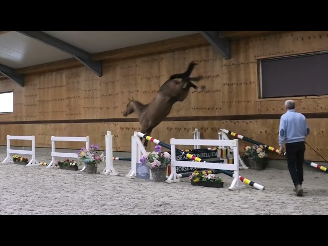 Jumping