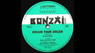 Dream Your Dream - Soushkin [BR 93019]