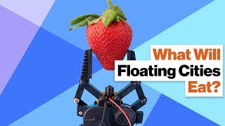 No Food, No Utopia: How Will Floating Cities Survive?