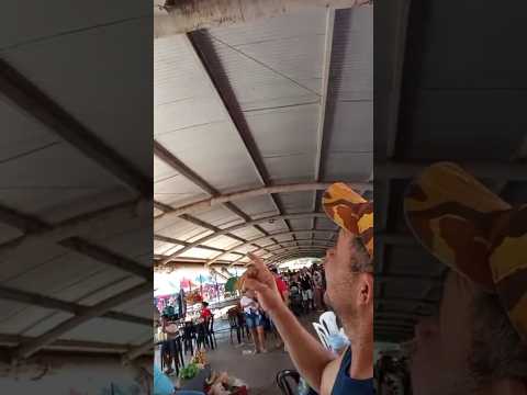 a cobertura da feira de Formosa Goiás é bem reforçada