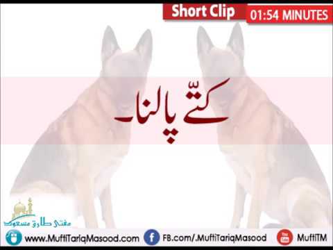 Kuttay Palna   Mufti Tariq Masood   YouTube