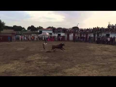 Garbayuela salto a camara lenta porrete25