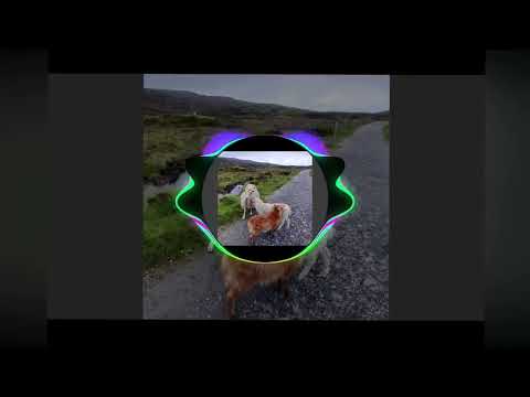 Tranzpotter - Being Savage (Audio Only)