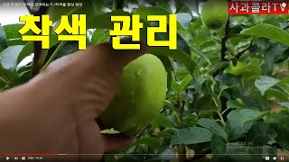 사과 무엇이 착색에 관여하는가 /착색율 향상 방안(2020.07.13)