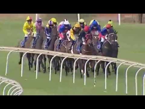 2015.02.28 Acacia Handicap (RSA) - Whatalady