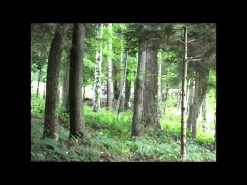 21°rally internazionale VALLI CUNEESI 2015 P S n 7