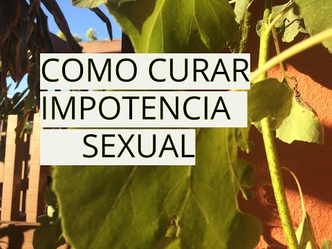 solucion pregnancy solfa syllable impotencia masculina