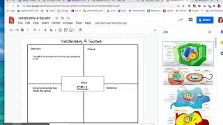 Vocabulary 4 Square