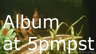 5PM PST