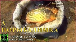 Ссылка