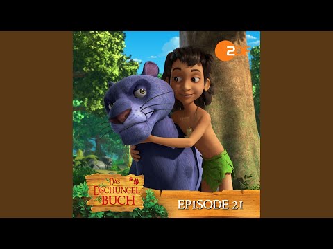 Mogli auf Spurensuche - Teil 1