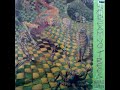 B1-Screaming Trees-Smokerings