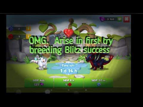 OMG!!  Breeding Blitz success in first try