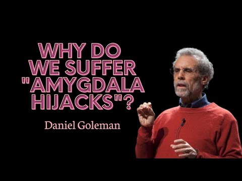 Daniel Goleman explains why we suffer "amygdala hijacks"
