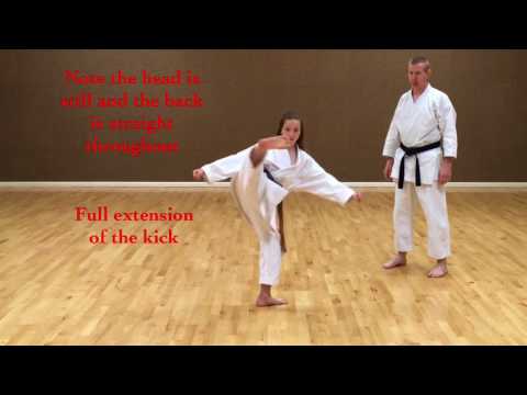 Mawashi-geri (Roundhouse kick)