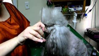 Poodle heads with snapons