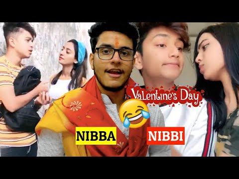 Valentine's Day Nibba Nibbi Love