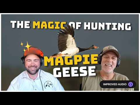The Art of Magpie Goose Hunting: Tips, Tricks, and Cultural Insights (Fixed Audio)