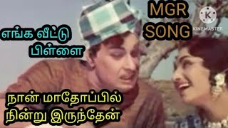 Download lagu #mgrsongs #நான்மாதோப்பில்நின்றுஇருந்தேன் #எங்கவீட்டுபிள்ளை #tms #lreswari #msv mp3 Download lagu #mgrsongs #நான்மாதோப்பில்நின்றுஇருந்தேன் #எங்கவீட்டுபிள்ளை #tms #lreswari #msv mp3